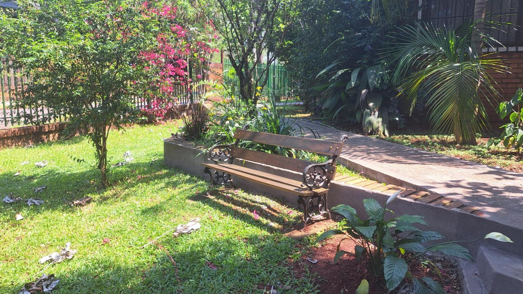Vencejos Puerto Iguazu